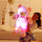 Glowing Teddy Bear