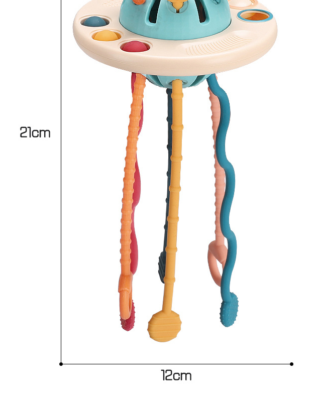 Sensory Training Toy