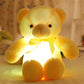 Glowing Teddy Bear